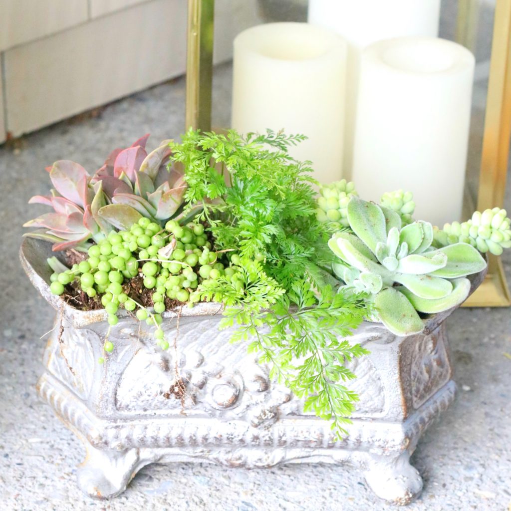 front porch decorating ideas with succulents