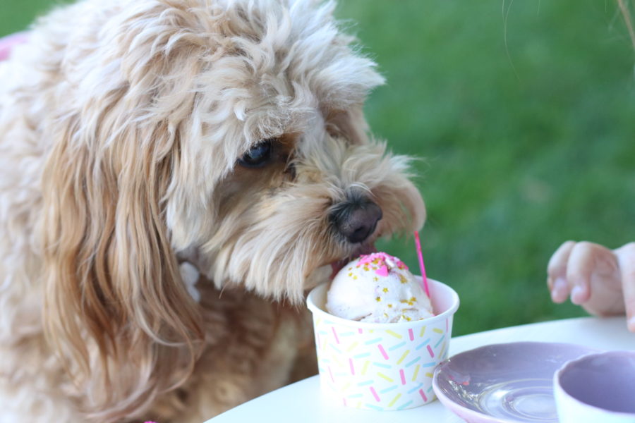 Garden Ice Cream Party and Recipe