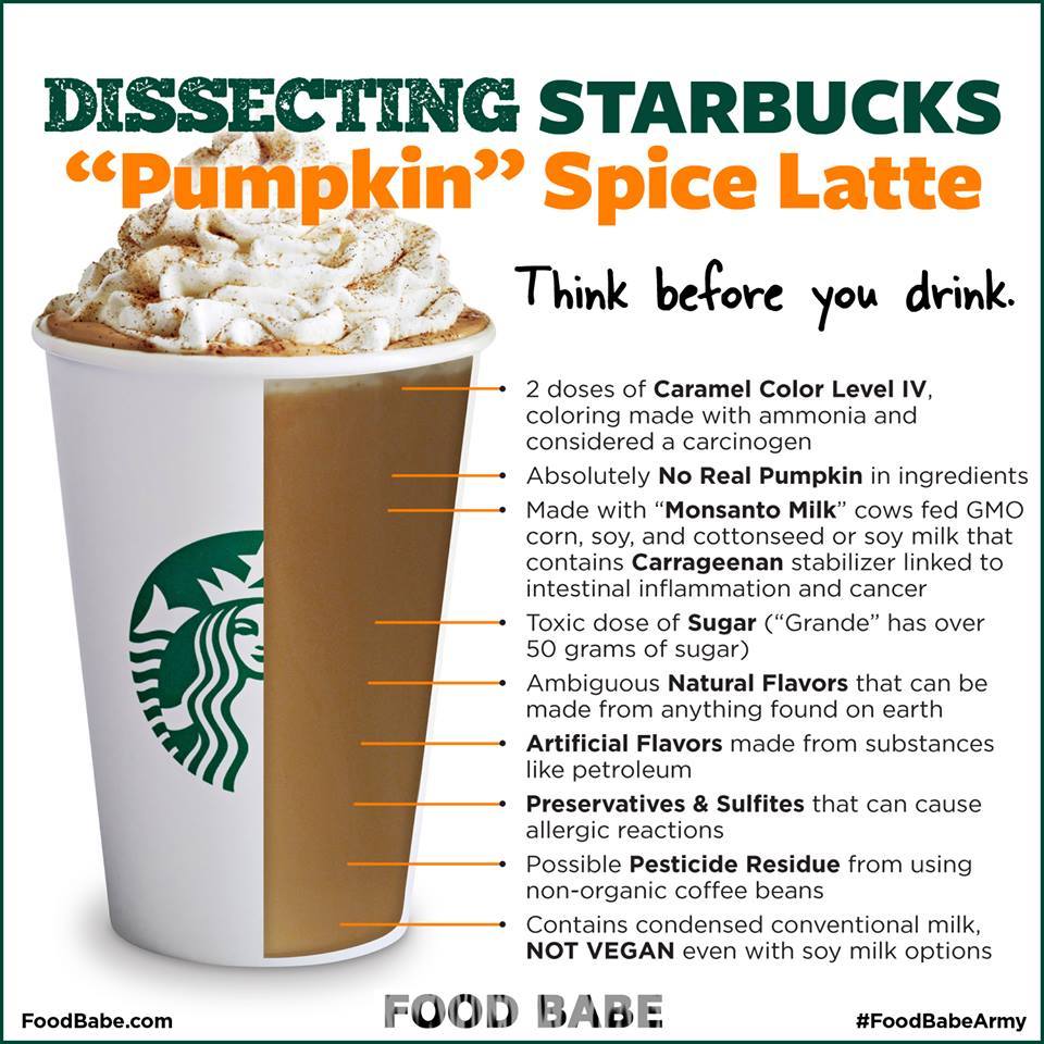 Healthy Pumpkin Spice Latte Recipe Paleo Vegan Modern Glam healthy-pumpkin-spice-latte-recipe-paleo-vegan-modern-glam