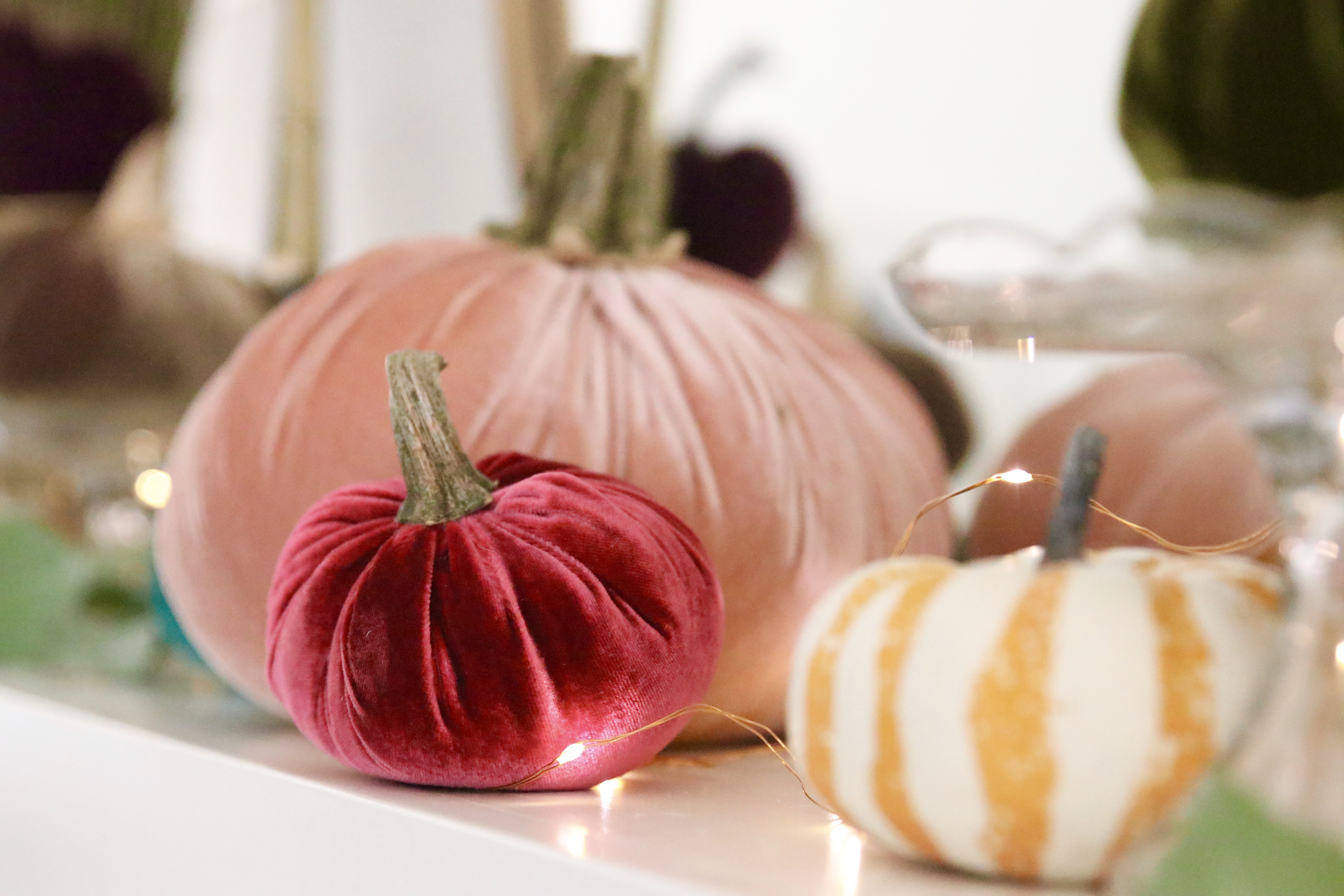 velvet pumpkin farmhouse fall