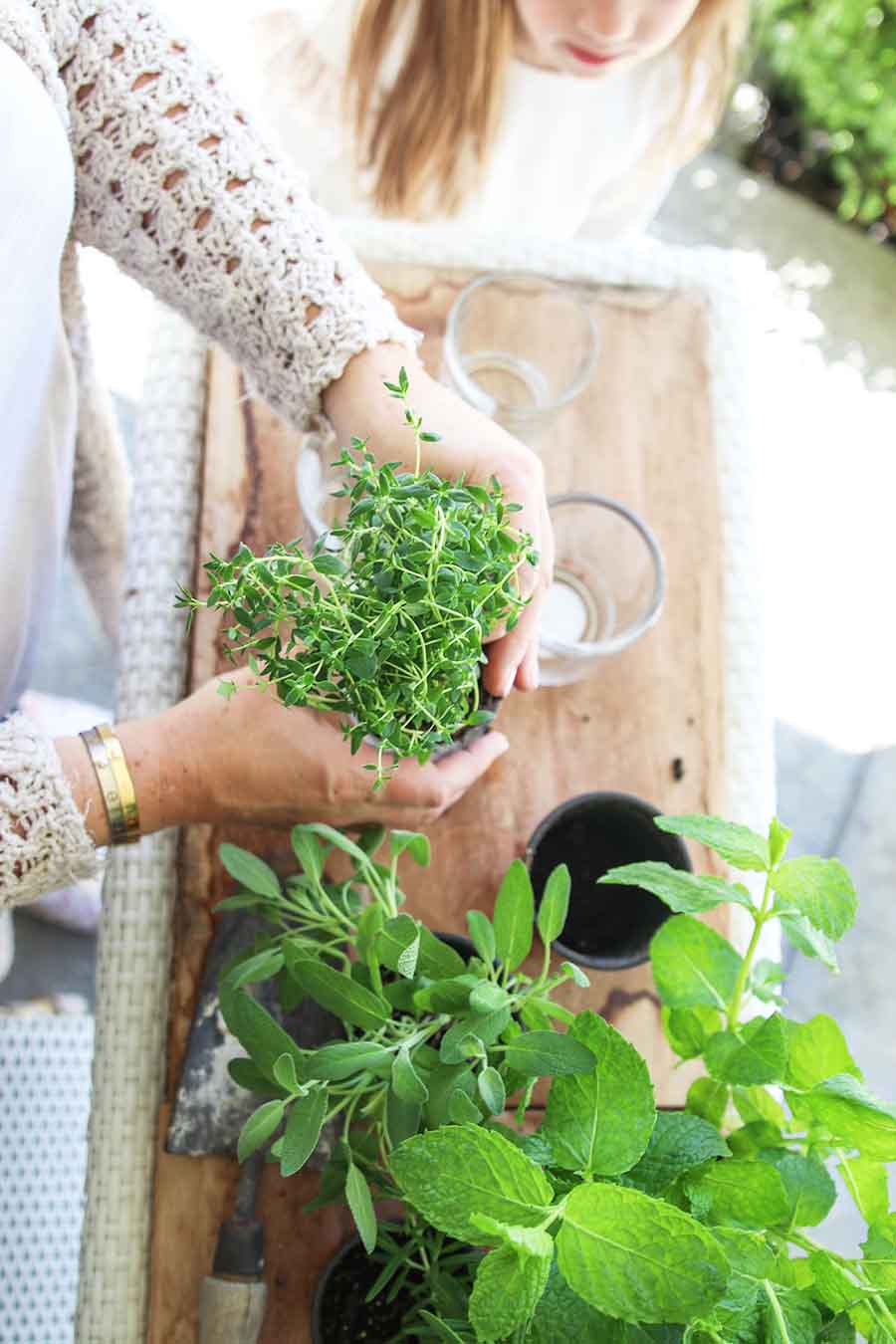 Planting an Indoor Herb Garden using chic candle jars as pots. #DIY #Repurpose #HerbGarden #Fashionablehome