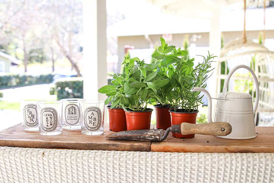 DIY: Repurposing Candle Jars for an Indoor Herb Garden