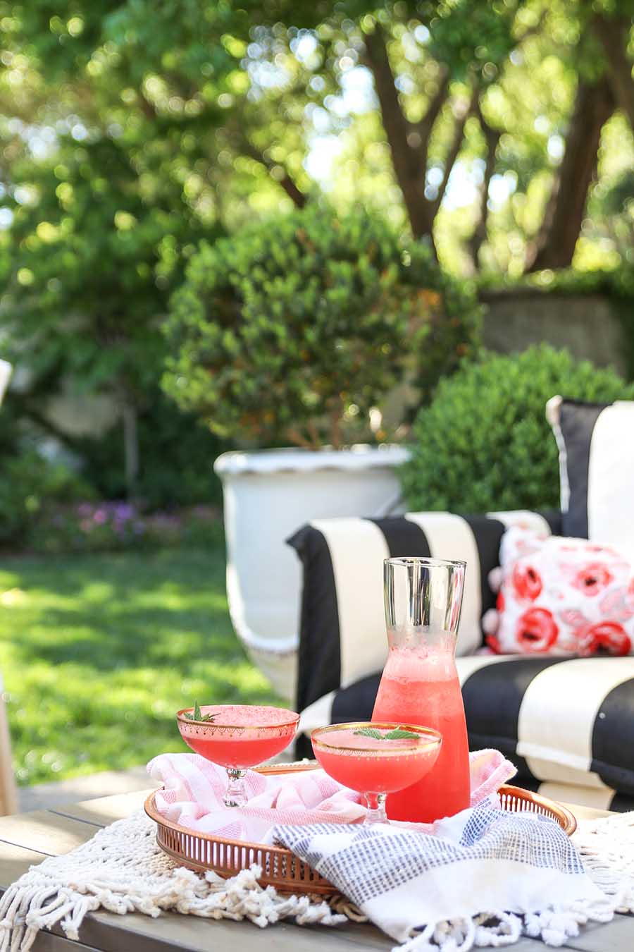 Watermelon Drink REcipes 