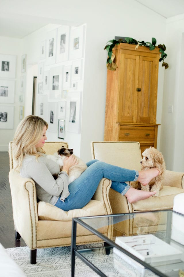 sitting in chair with cat and dog