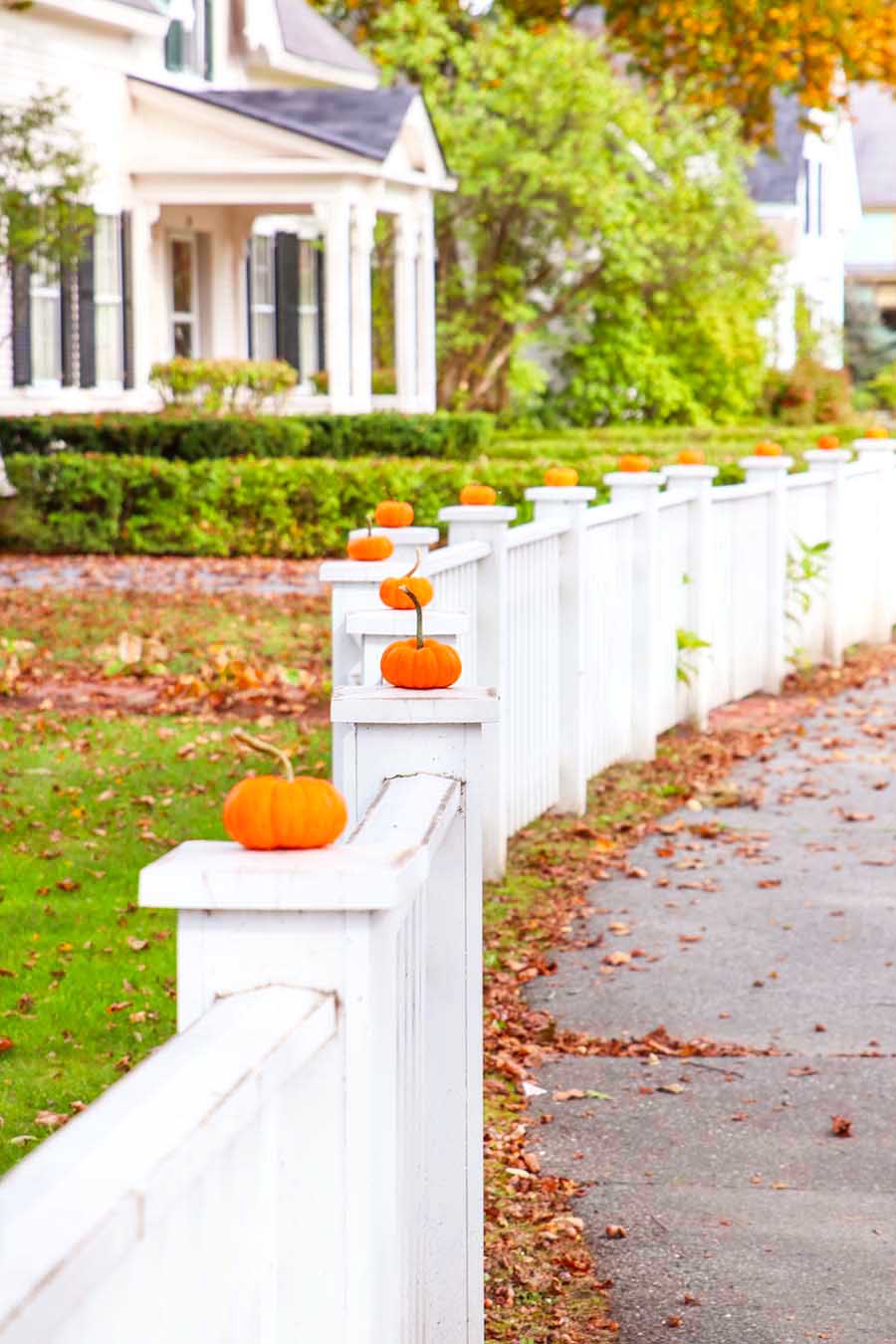 pumpkins on fence