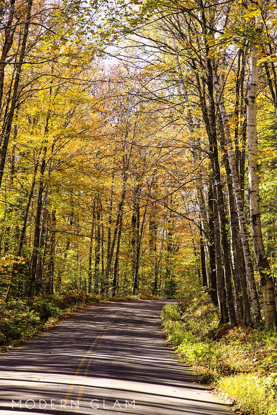 Vermont Fall leaves on road