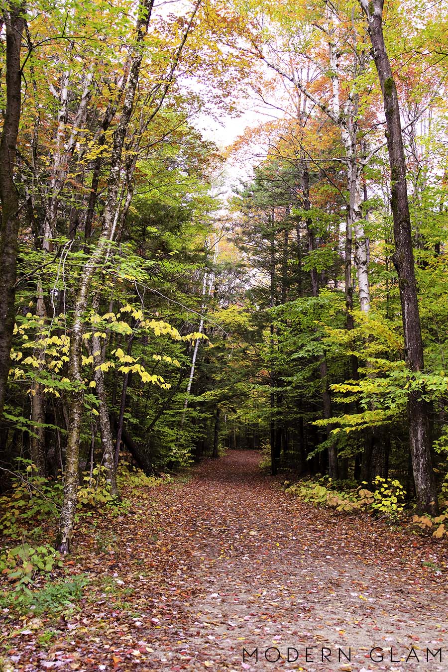 Vermont trails