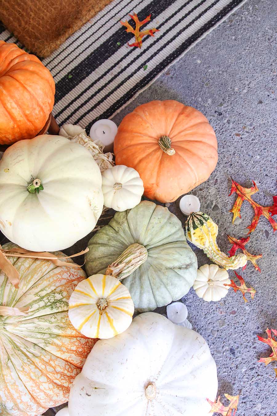 pumpkins and cornstalks