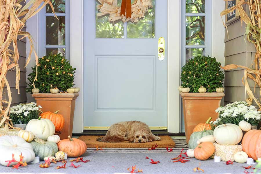 porch with pumpkins