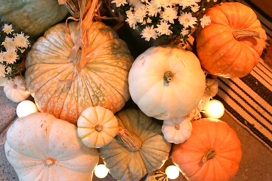 Neutral fall porch decor