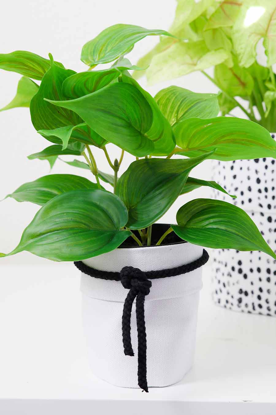 Fabric Planter DIY: No-Sew Project - Modern Glam