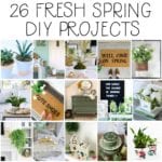 spring diy project