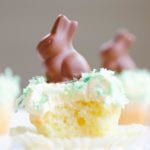 chocolate bunny cupcakes