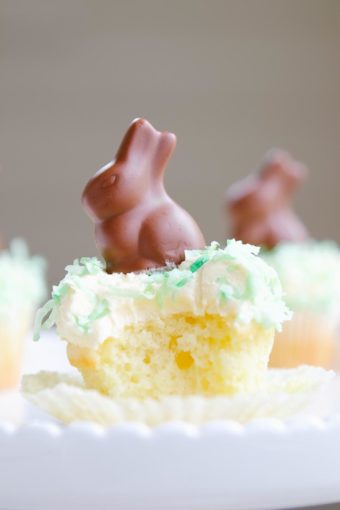 chocolate bunny cupcakes
