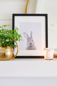 Black and White Bunny Printable