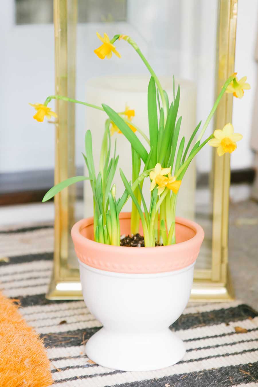 spring porch with daffodils