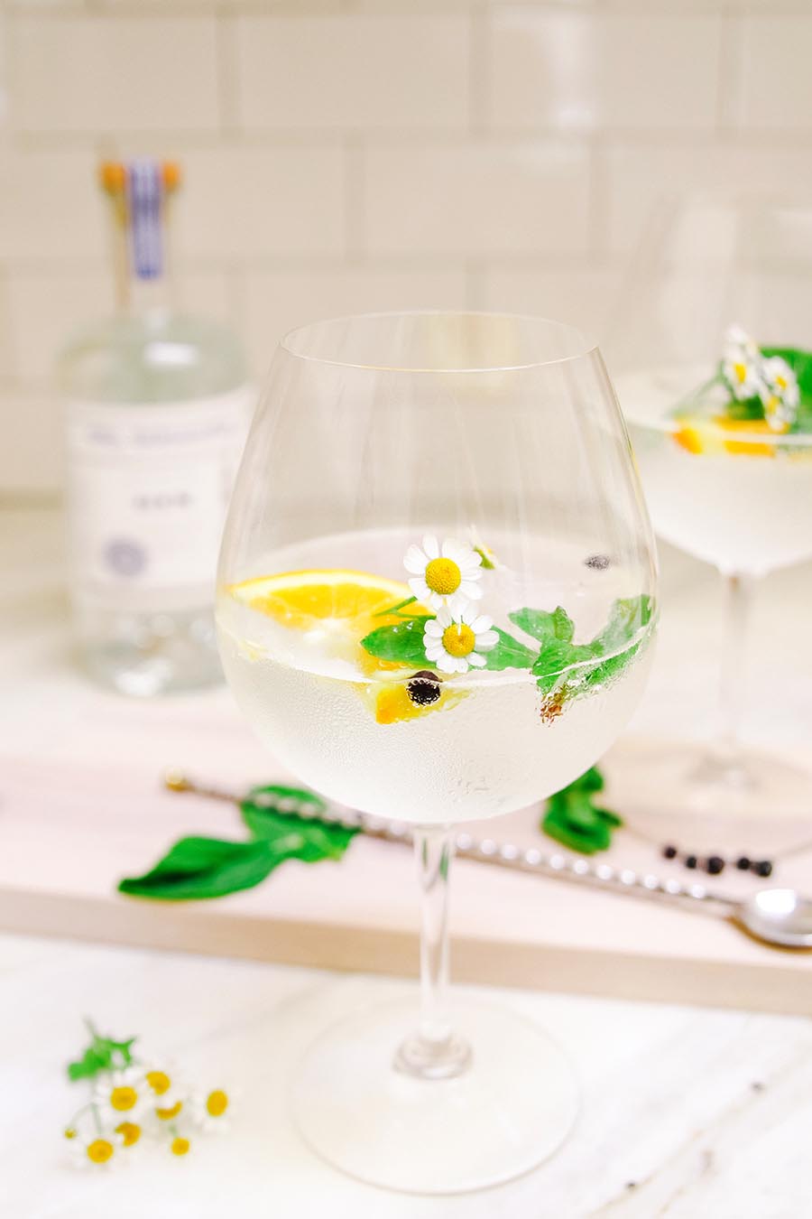 Spanish Gin and Tonic (Gin Tonica) Recipe