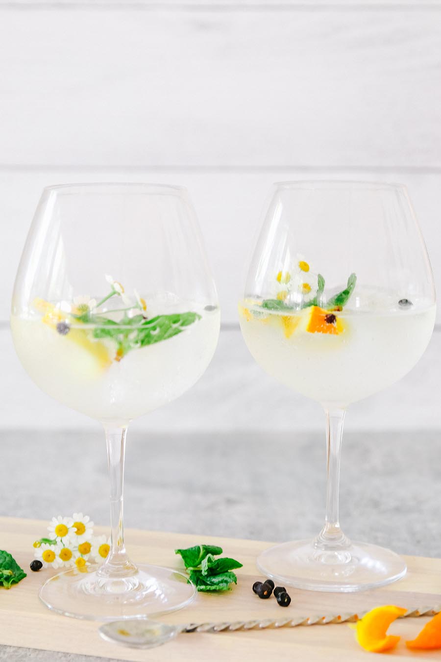 Spanish style gin and tonic recipe