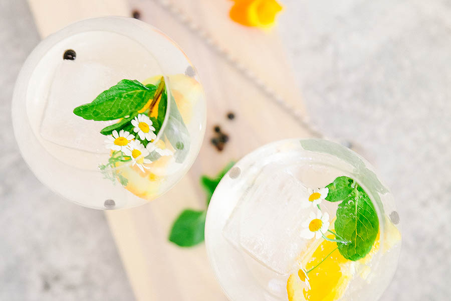 gin and tonic recipe