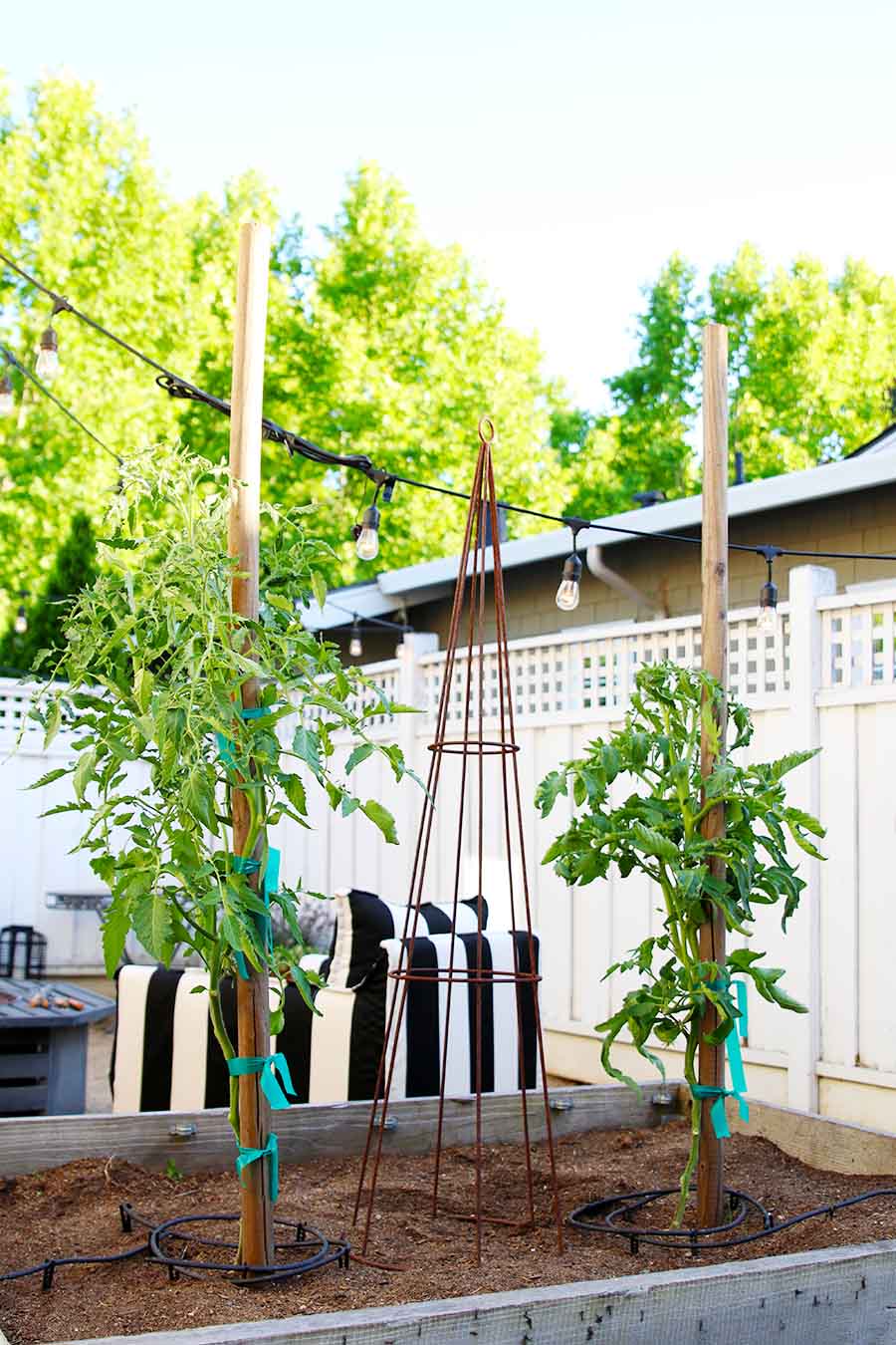 summer patio with garden bed