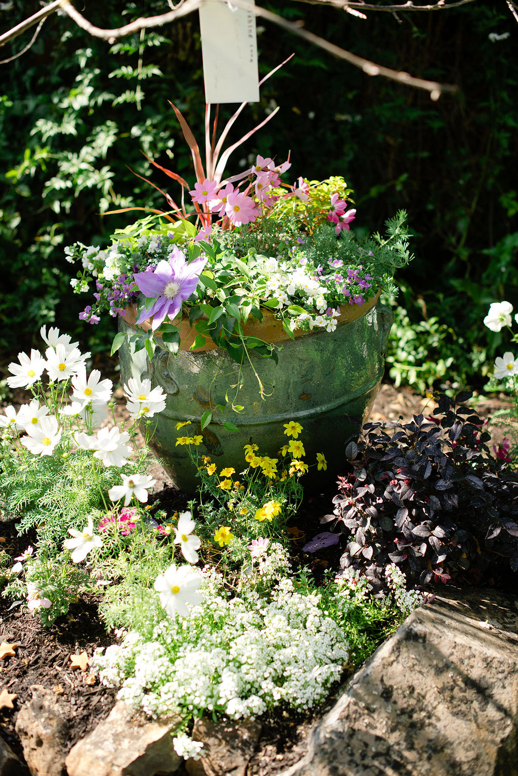 container gardening ideas