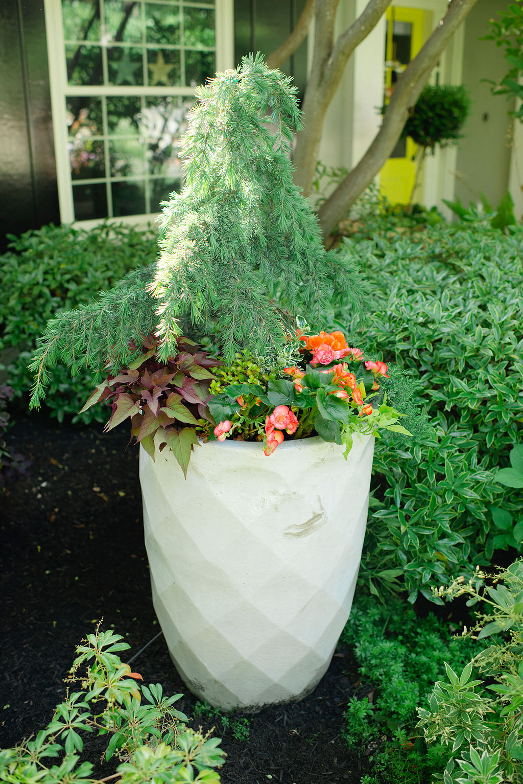 ideas for large flower pots
