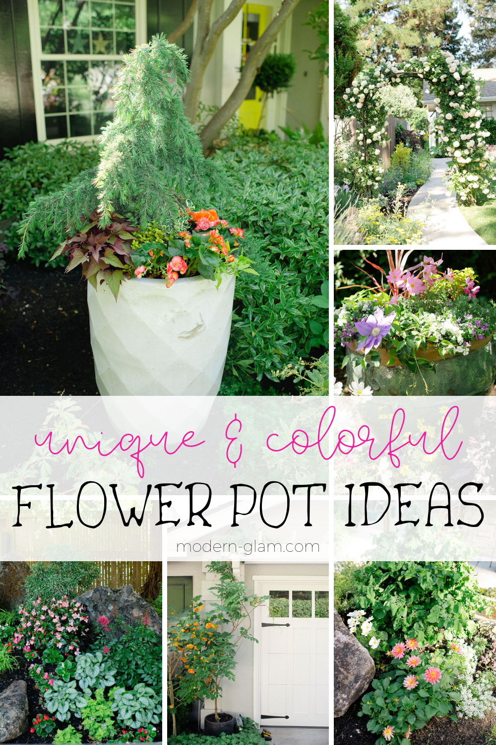 Unique Container Gardening Ideas Modern Glam