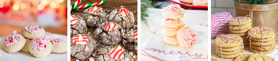 Cookies for blogger tour.