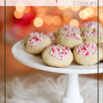 easy christmas cookie recipe