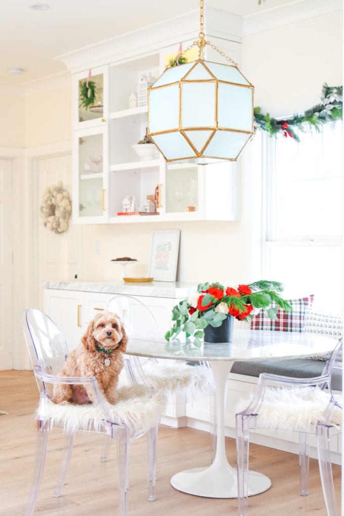 white kitchen with dog