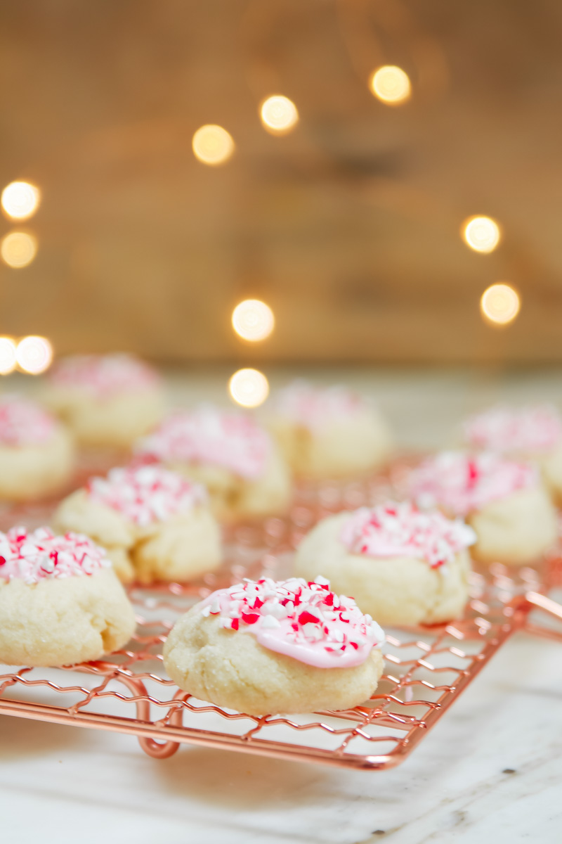 easy christmas cookie recipe