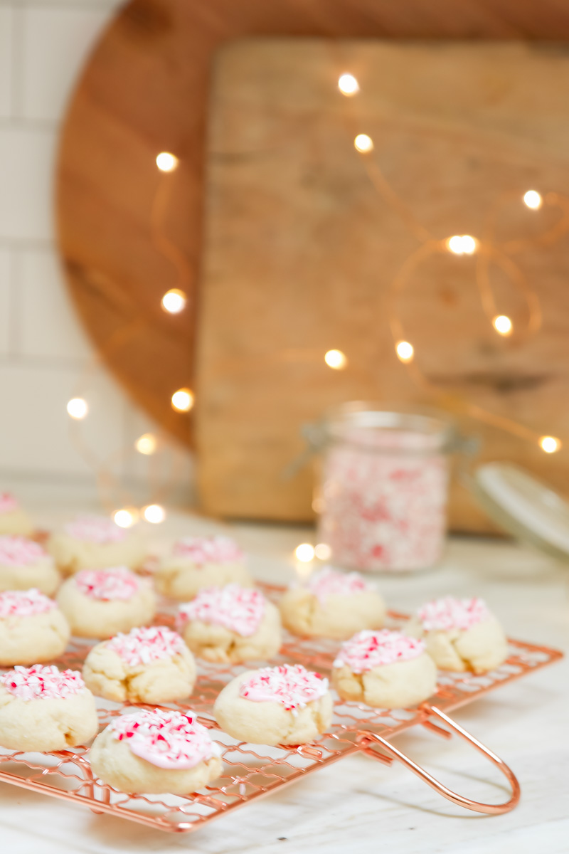 fun christmas cookie recipe