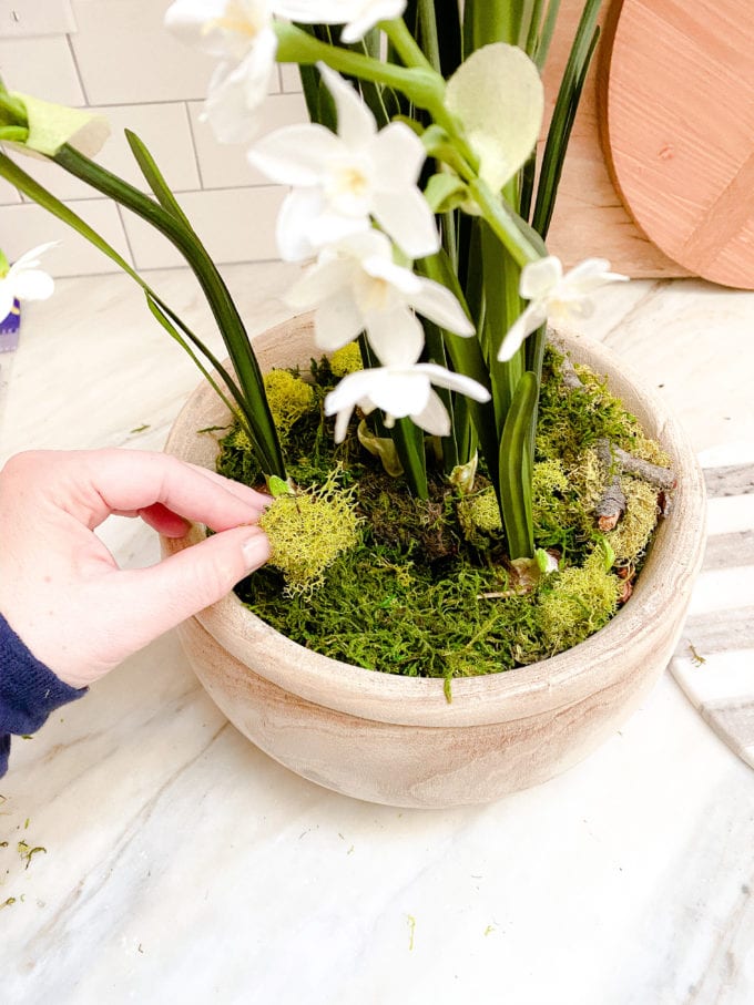 DIY spring bulb arrangement