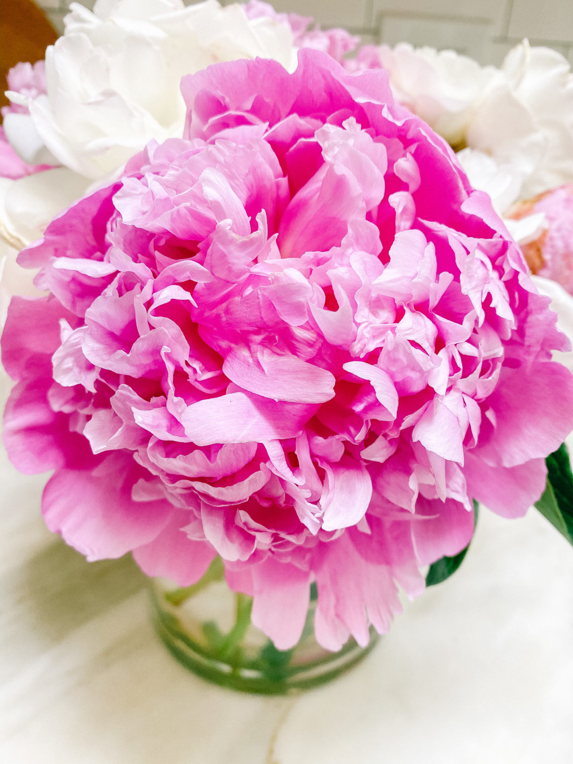 Peony Tips and Tricks for A Beautiful Arrangement Modern Glam
