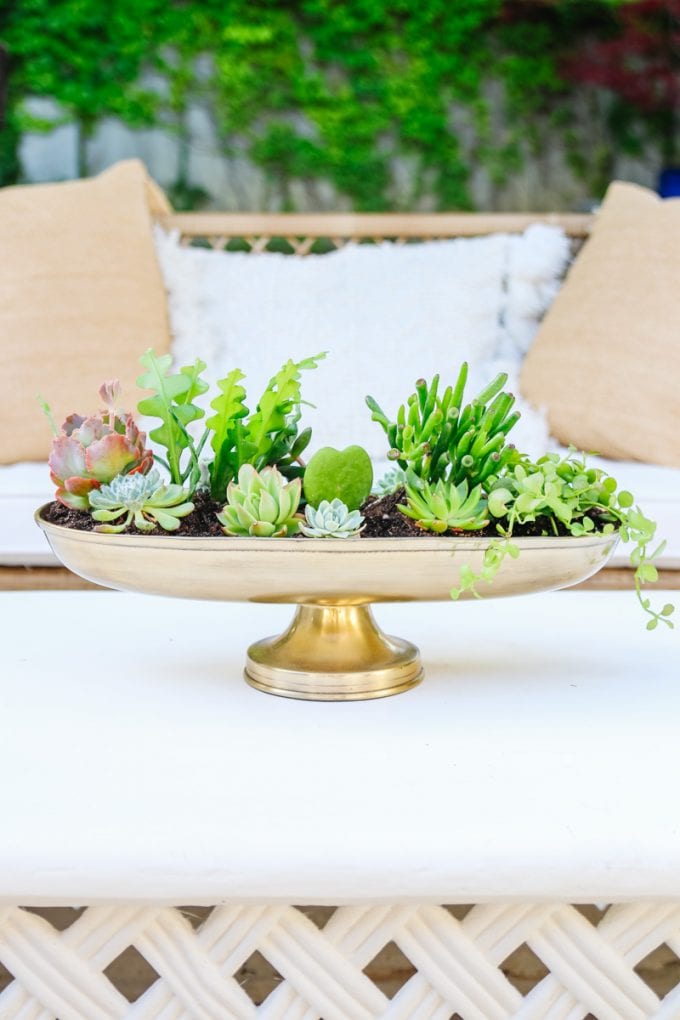 doy succulent planter