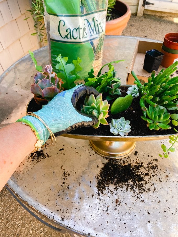 how to make a succulent planter