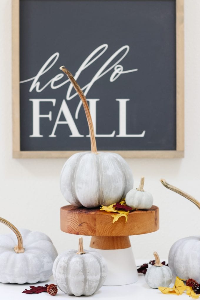 fall painted pumpkins