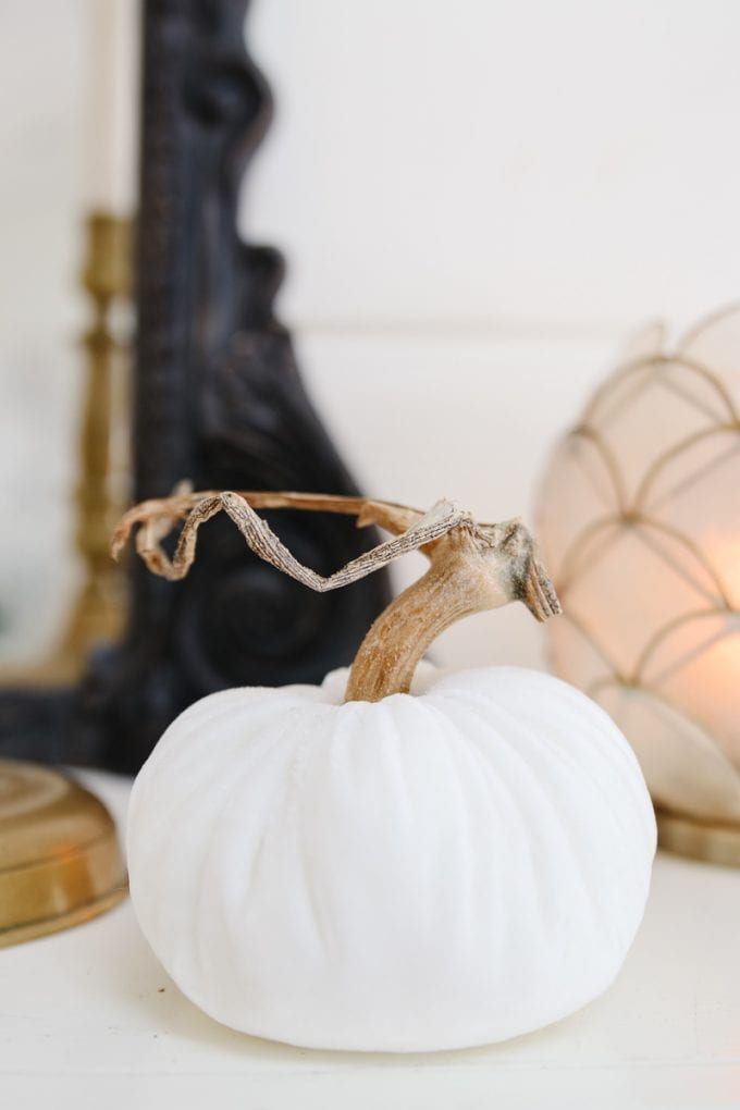 white velvet pumpkin