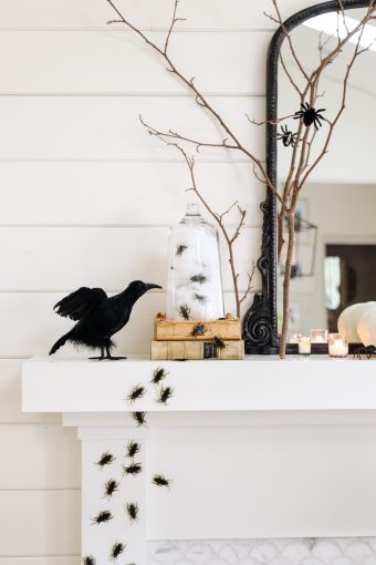 halloween mantel with insects