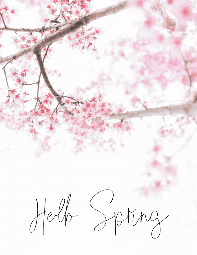 hello spring free printable