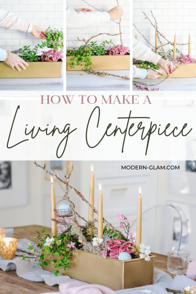 how to make a living centerpiece