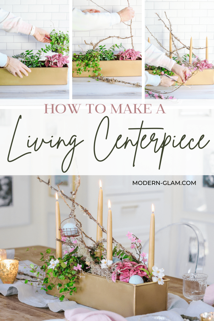 how to make a living centerpiece via @modernglamhome