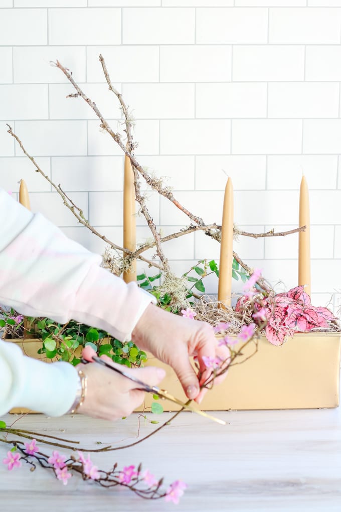 how to make a living centerpiece