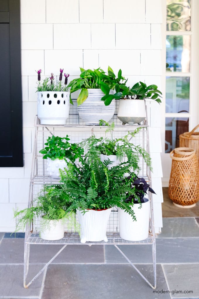 potting rack