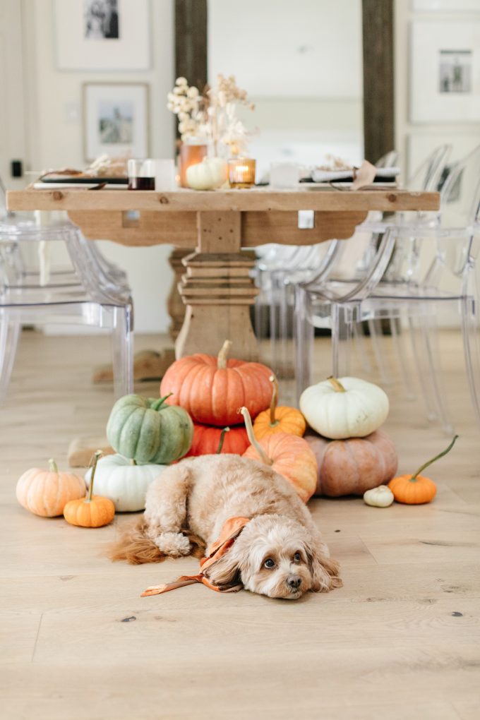 easy thanksgiving table setting