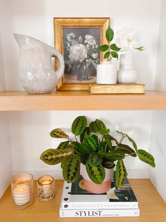 indoor plants as decorations