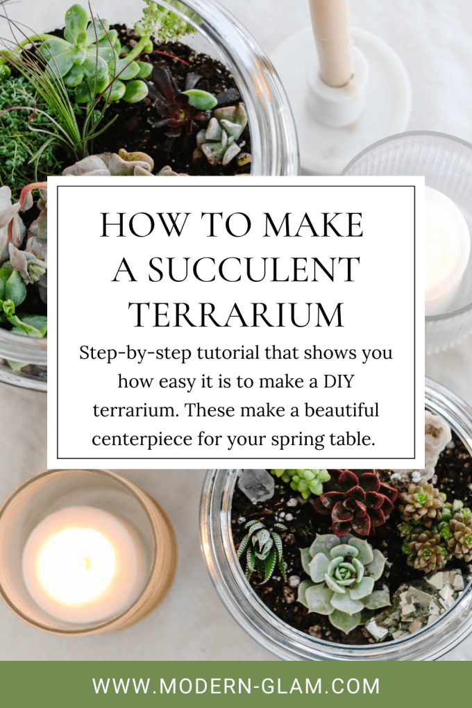how to make a succulent terrarium