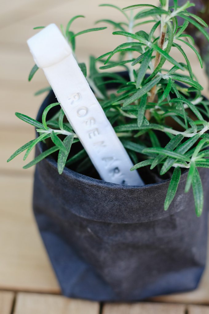 diy plant stakes