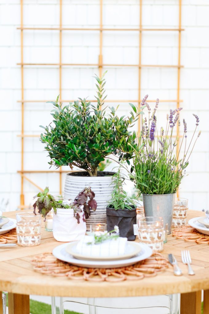 summer centerpiece idea for outdoors