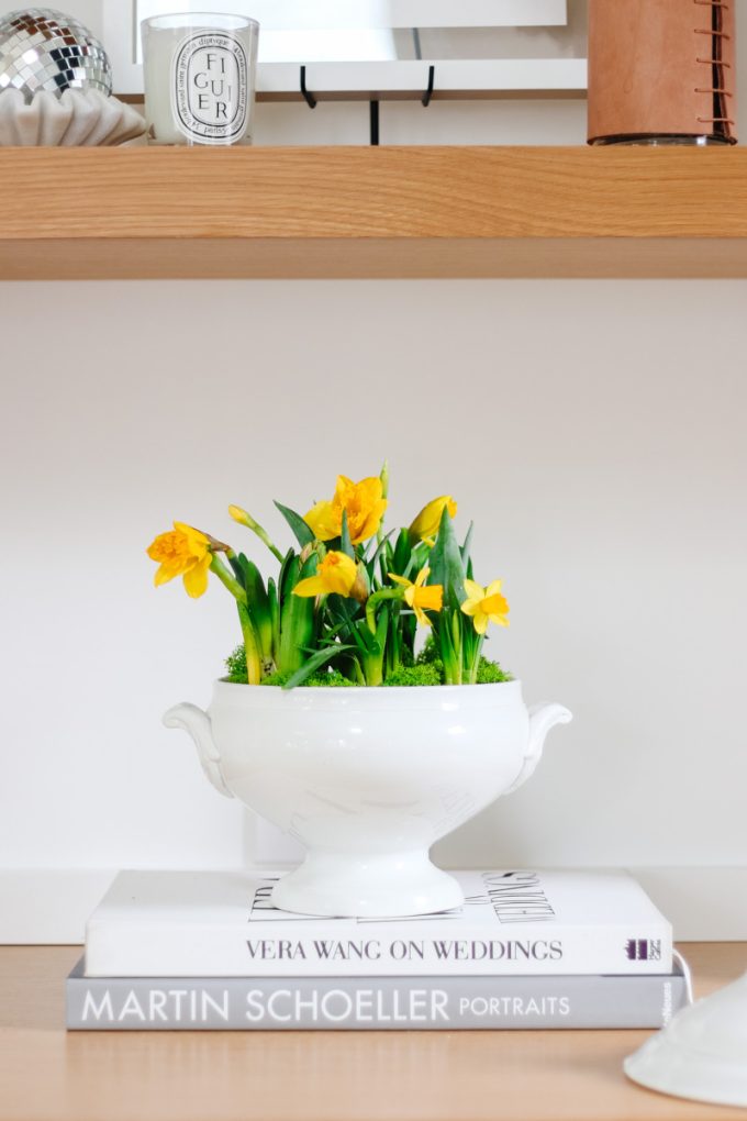 spring bulb arrangement